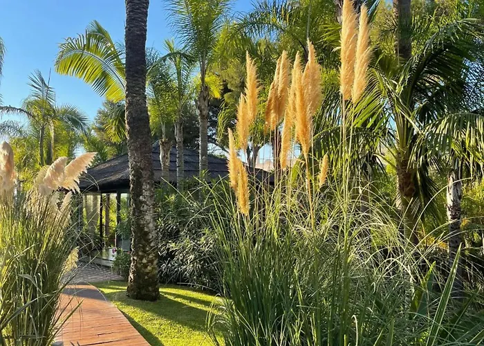 Villa In Palm Tree Plantation, Near The Beach.
