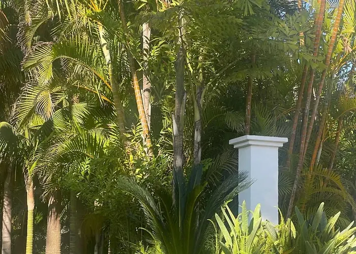Villa In Palm Tree Plantation, Near The Beach. Marbellac